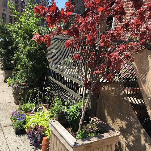instygram_2262.jpg